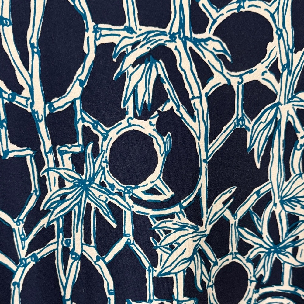 Lilly Pulitzer Blue and White Dress - Picture 4 of 7